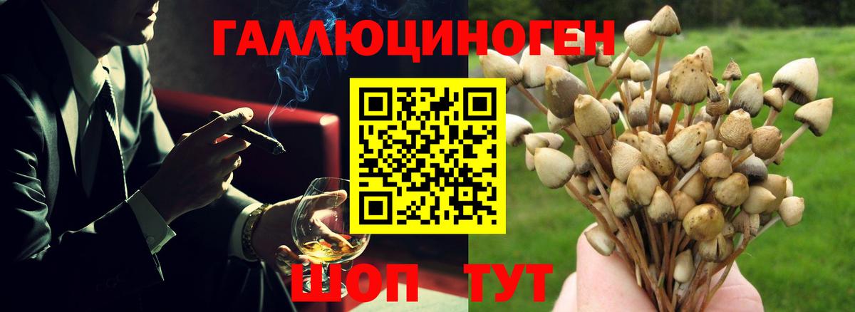 Псилоцибиновые грибы MAGIC MUSHROOMS Рыбинск