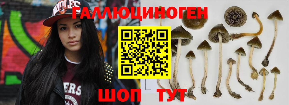Галлюциногенные грибы MAGIC MUSHROOMS  Галлюциногенные грибы мухоморы  Рыбинск  Вход с VPN 